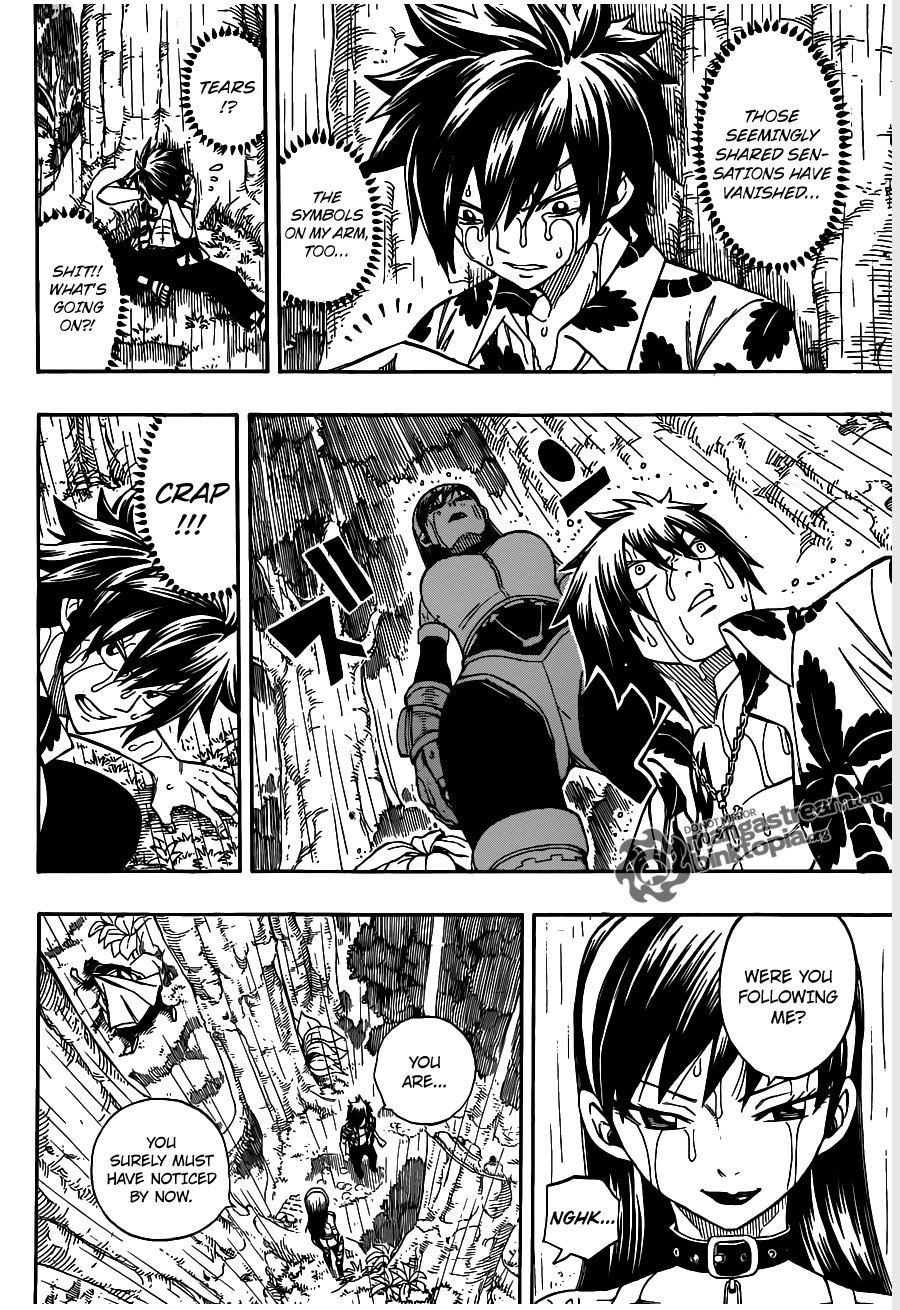 Fairy Tail Chapter 230 18